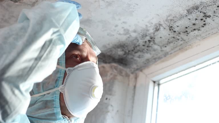 Best Mold Prevention Services  in Greenfield, WI